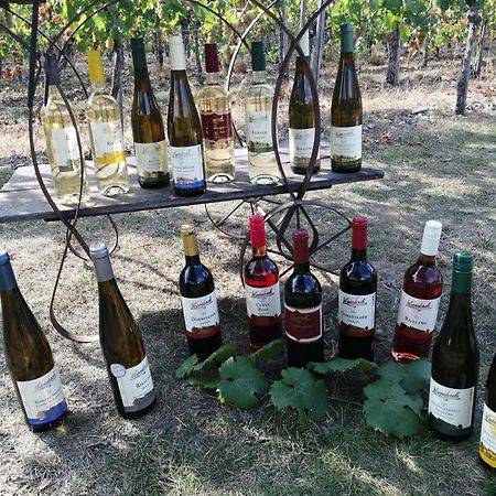 Ferienweingut Winnebeck Kowerich Luaran gambar