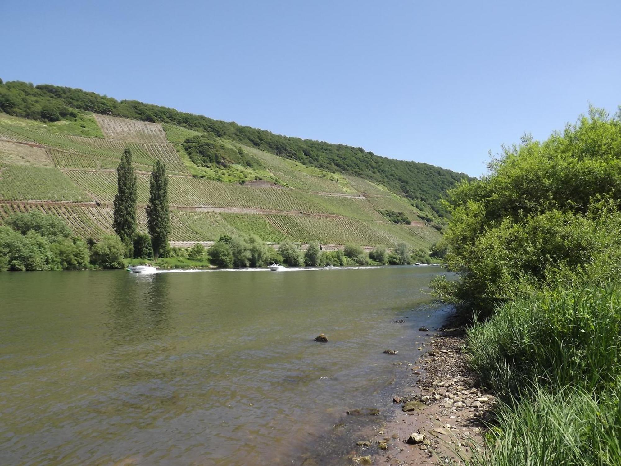 Ferienweingut Winnebeck Kowerich Bilik gambar