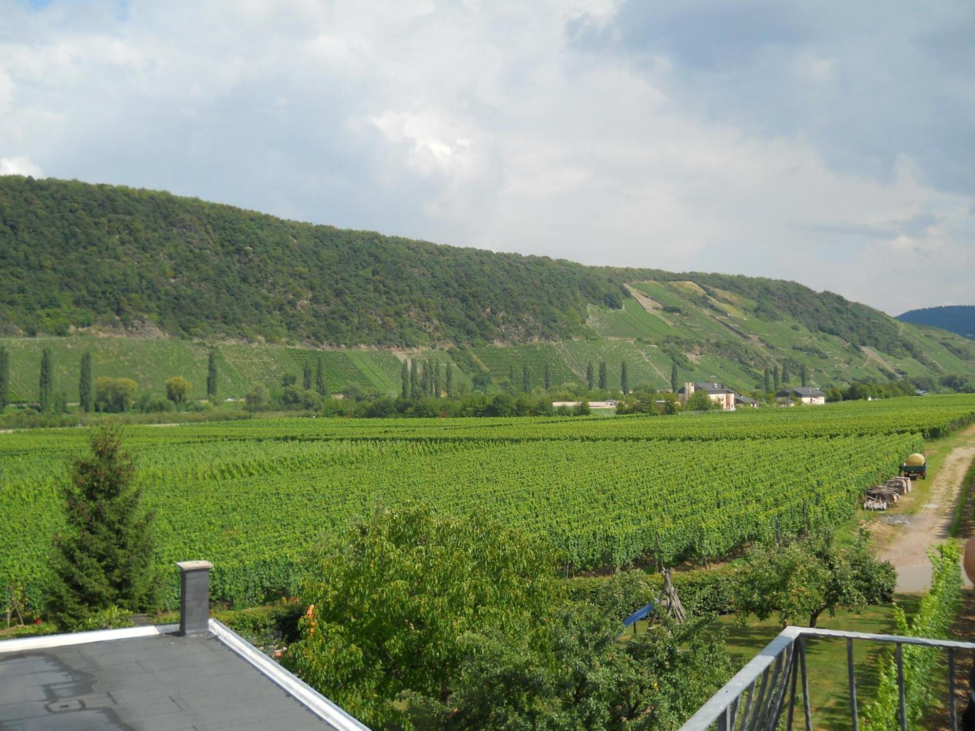Ferienweingut Winnebeck Kowerich Bilik gambar