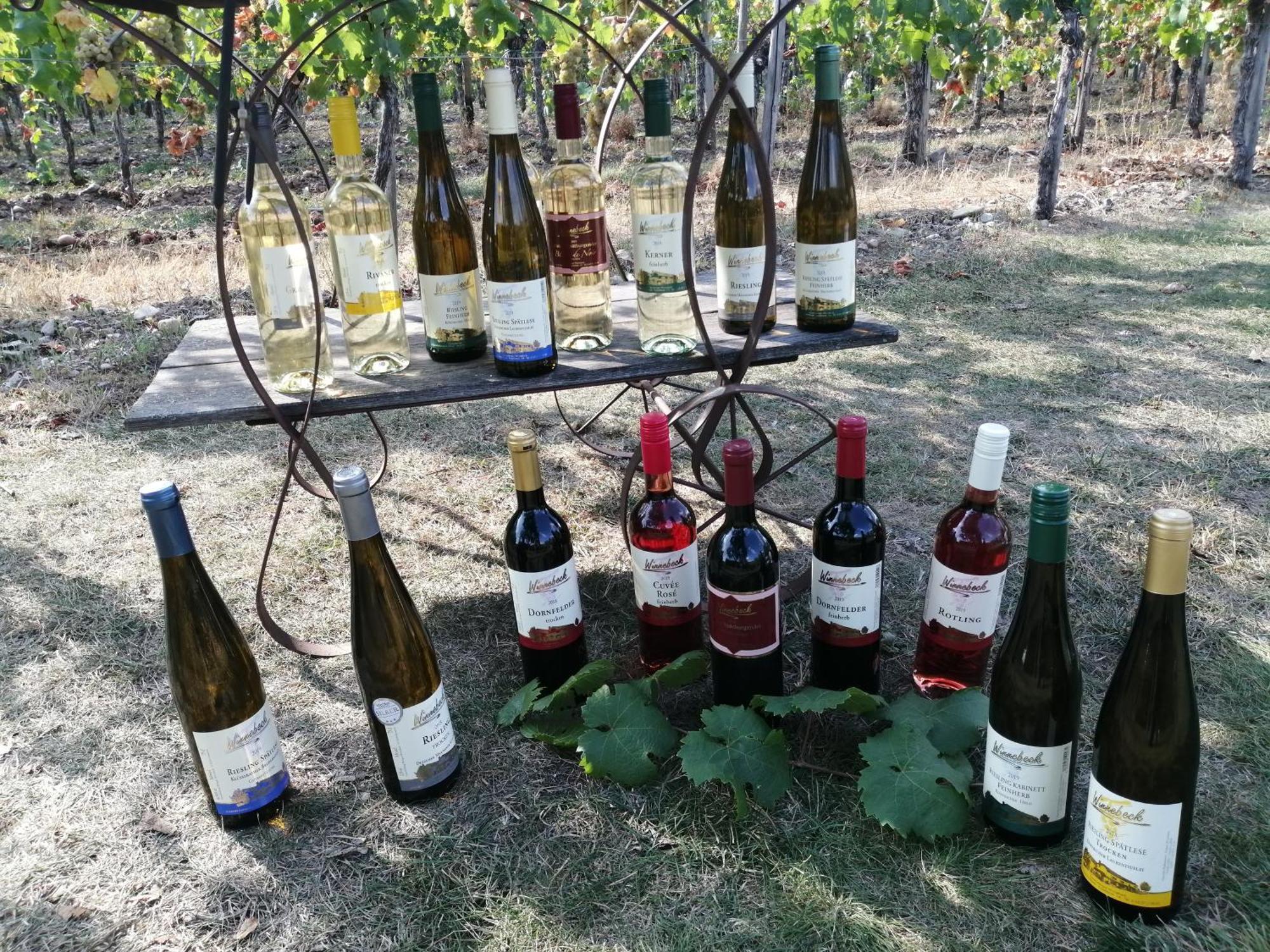 Ferienweingut Winnebeck Kowerich Luaran gambar