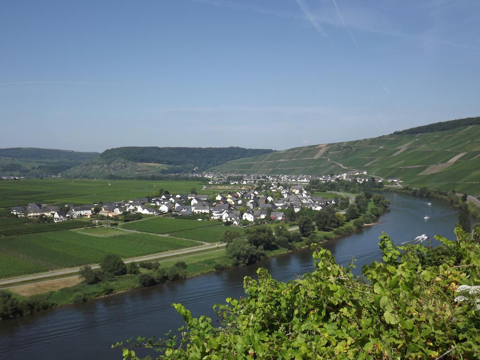 Ferienweingut Winnebeck Kowerich Bilik gambar