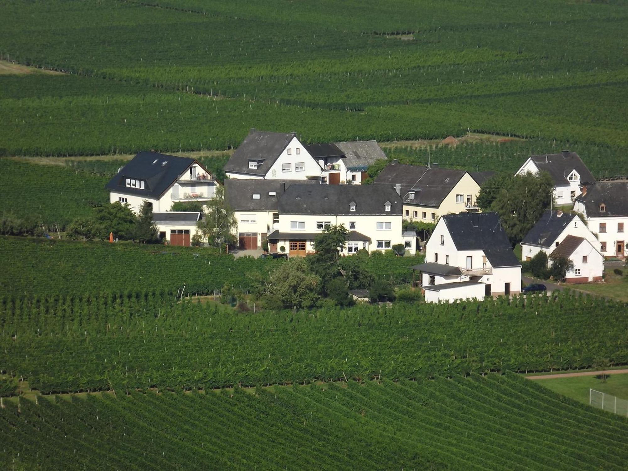 Ferienweingut Winnebeck Kowerich Bilik gambar