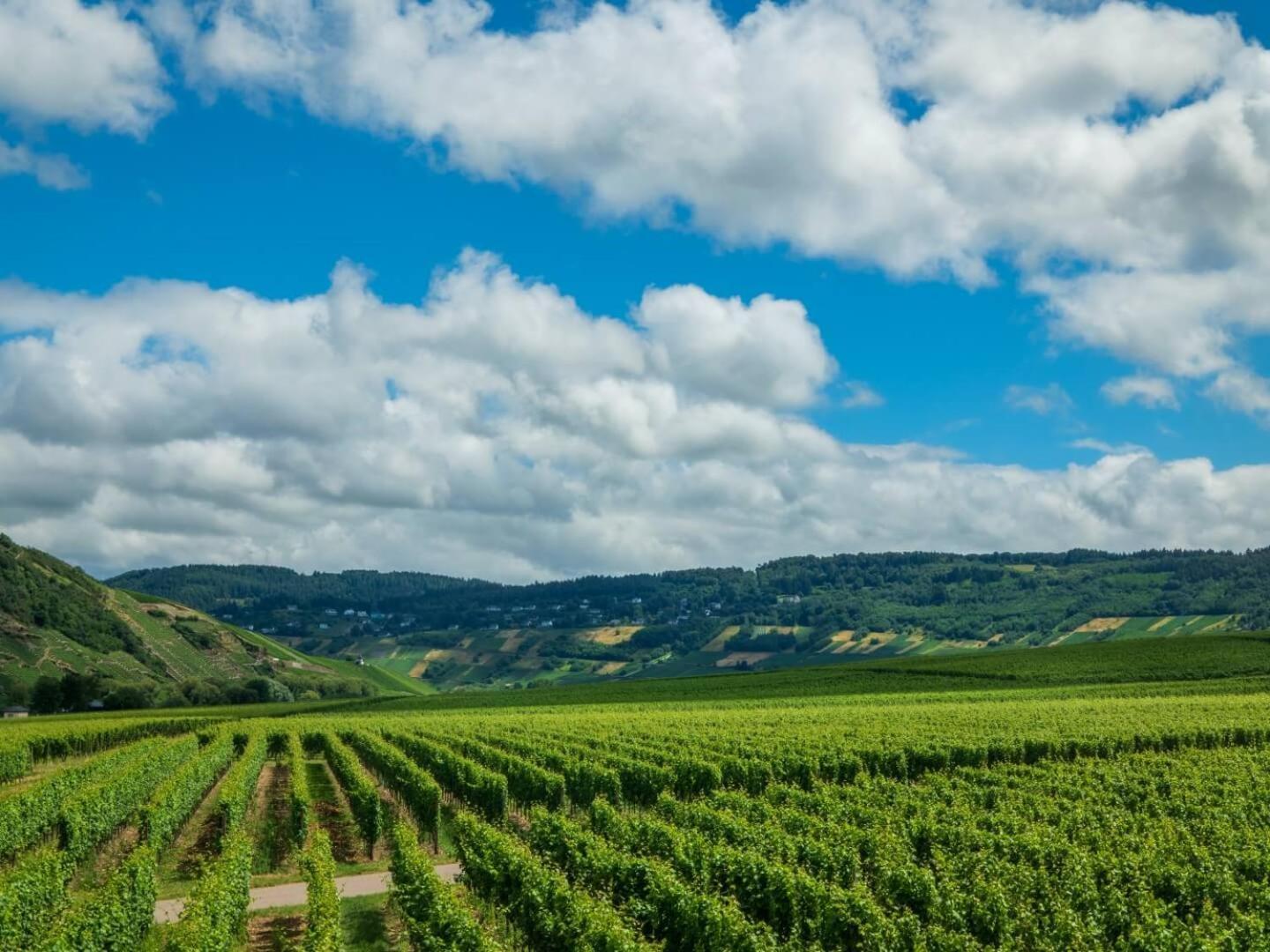 Ferienweingut Winnebeck Kowerich Luaran gambar