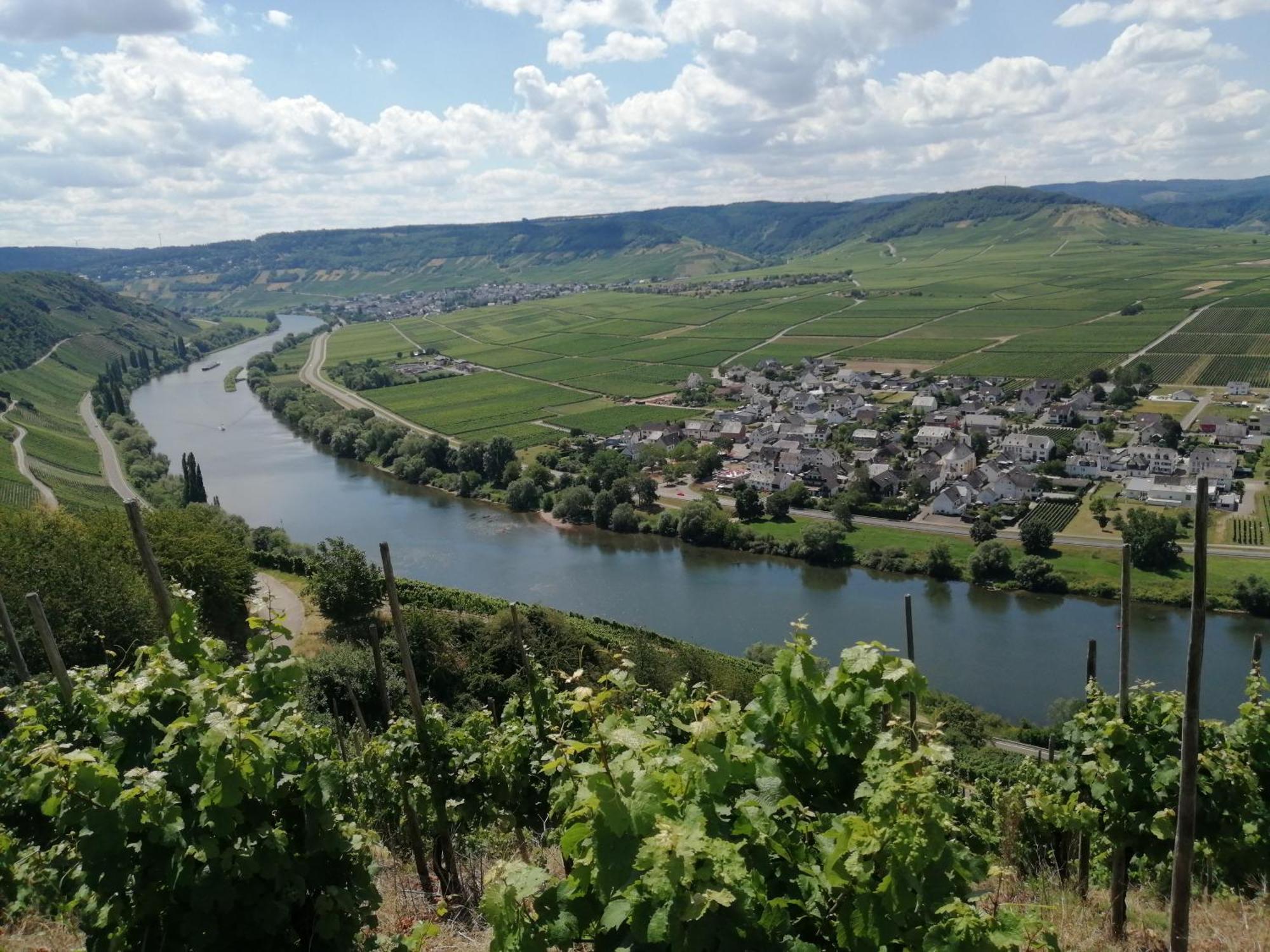 Ferienweingut Winnebeck Kowerich Luaran gambar