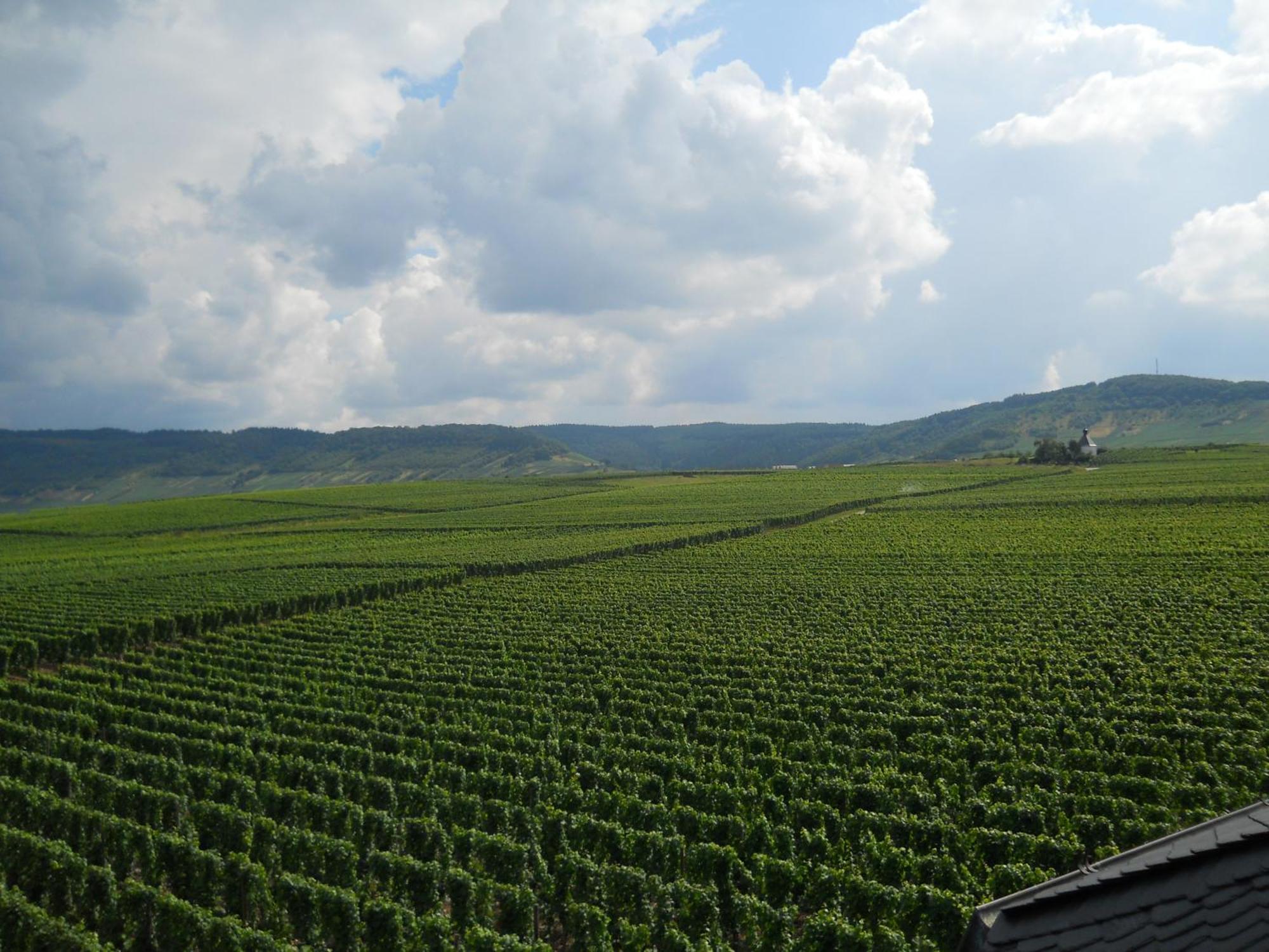 Ferienweingut Winnebeck Kowerich Luaran gambar