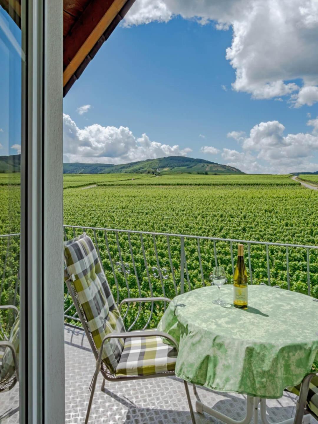 Ferienweingut Winnebeck Kowerich Luaran gambar