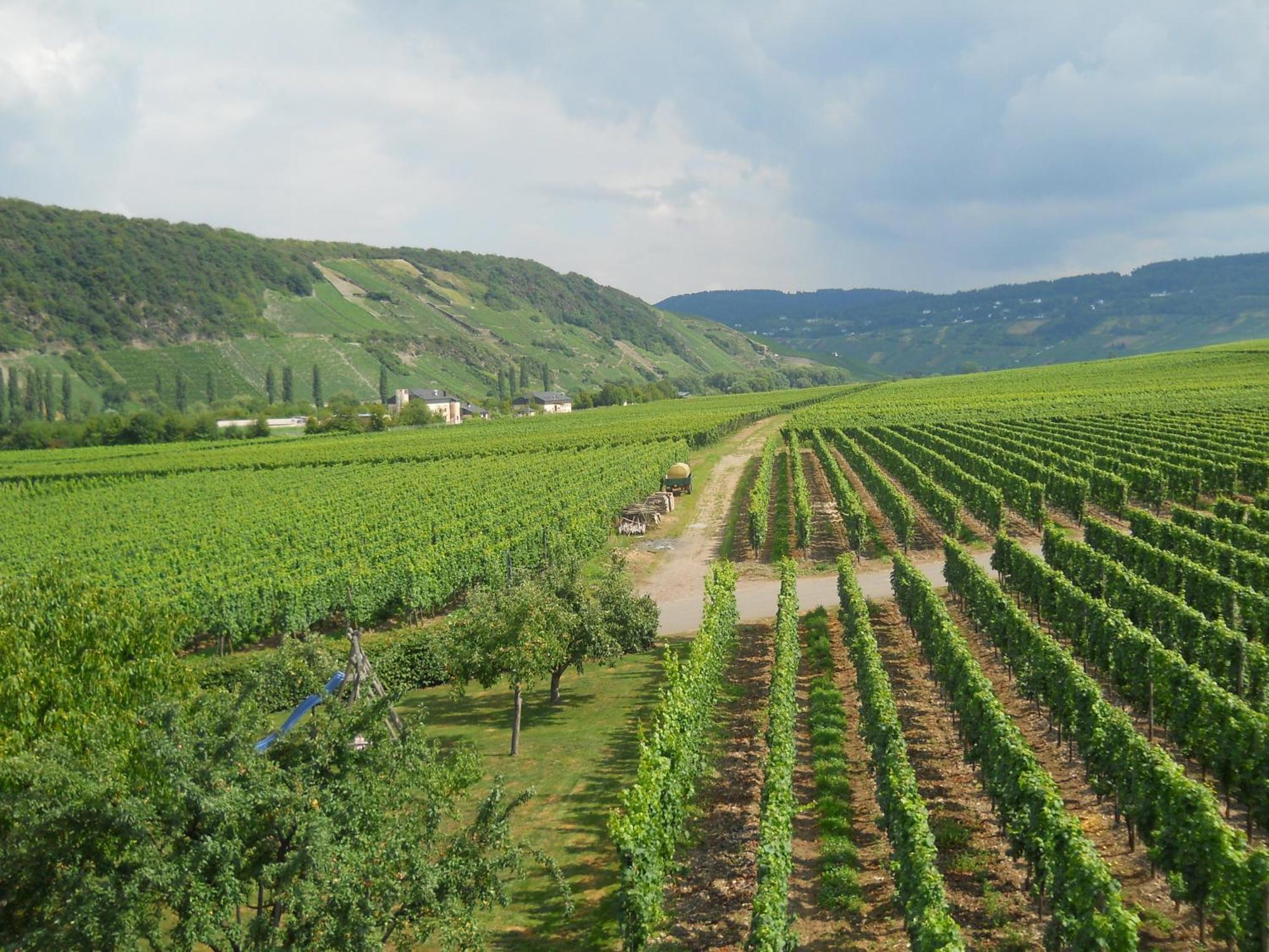 Ferienweingut Winnebeck Kowerich Luaran gambar