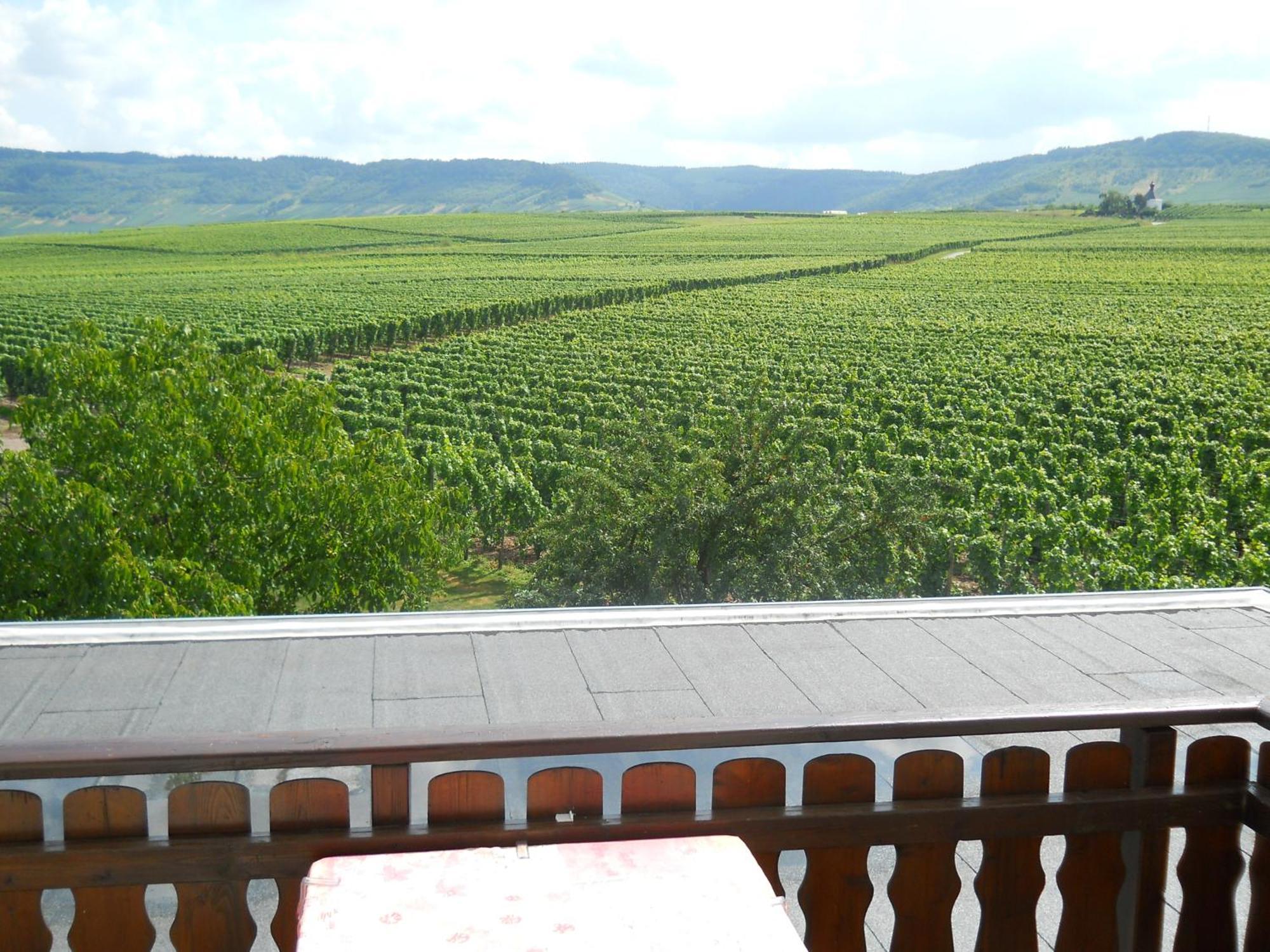 Ferienweingut Winnebeck Kowerich Luaran gambar